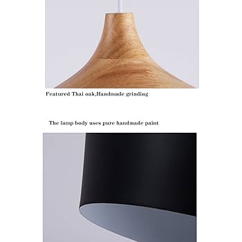 Amazon.com: JXINGZI Simple Deluxe 1-Pack Modern Dome Ceiling
